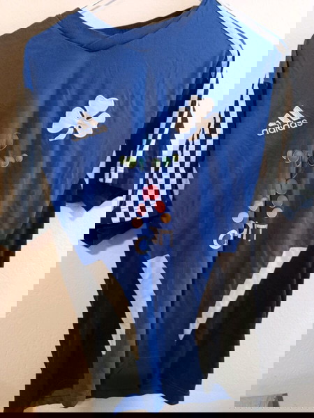 Training φανέλα Παναθηναϊκου ,μπλε, 2011,medium