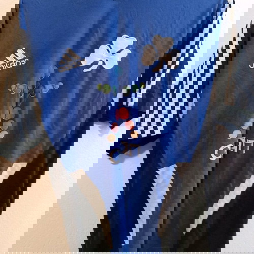 Training φανέλα Παναθηναϊκου ,μπλε, 2011,medium