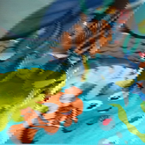 Disney Finding Nemo Baby Play Gym like new with lights and music