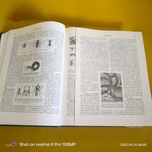 The Life of Animals used book