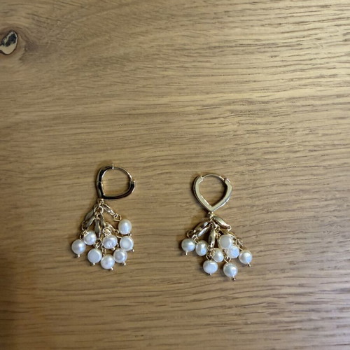Earrings new women's style with pearls