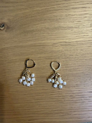 Earrings new women's style with pearls