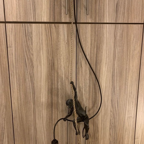 Ceiling light Monkey with lamp new 3D print
