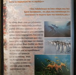 Deep Blue documentary DVD, dubbed