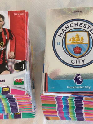 Panini Premier League 2024 Supplement | Used condition