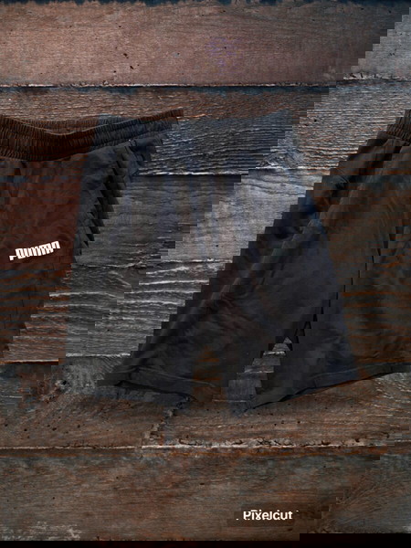 PUMA SHORTS