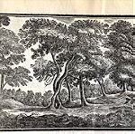  Γαλάνης  Δ. ξυλογραφια «Δέντρα» διάσταση  22x12cm  1928