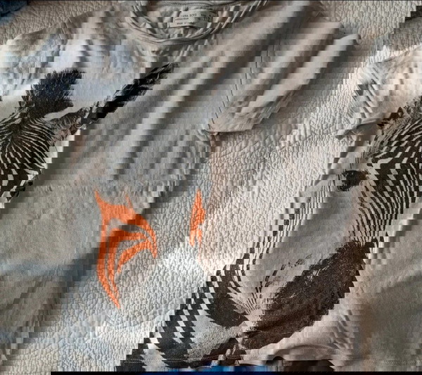 6 παιδικά μπλουζακια