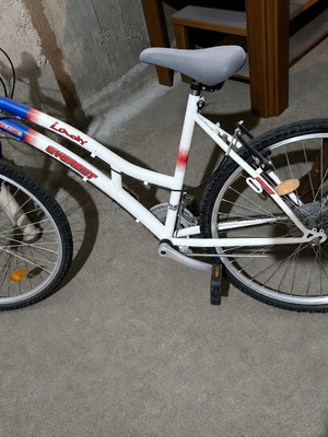 Everest Lady city bike with handlebar gears, white