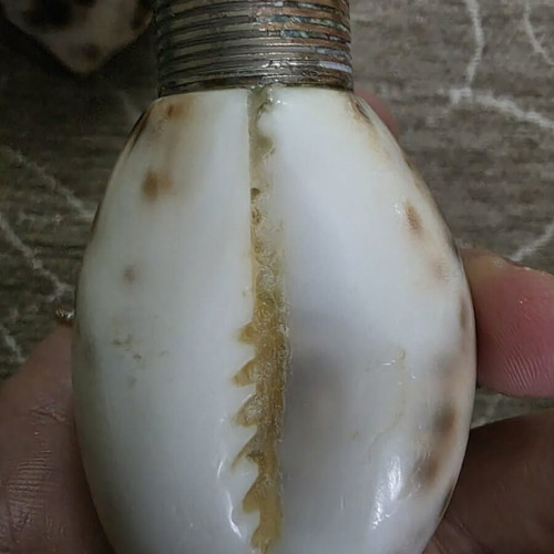 Salt and pepper set made of natural shell like new