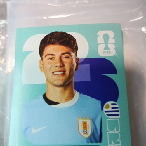 Panini FIFA World Cup 2026 sticker like new