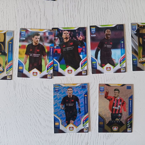 Adrenalyn XL 2026 13 Panini cards Bayer Leverkusen like new