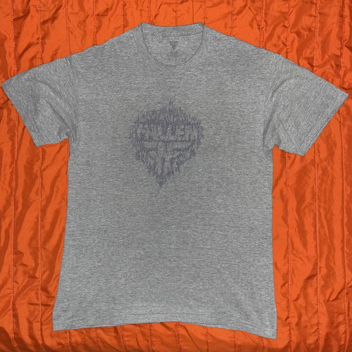 Fallen Skate T-Shirt, grey, size L
