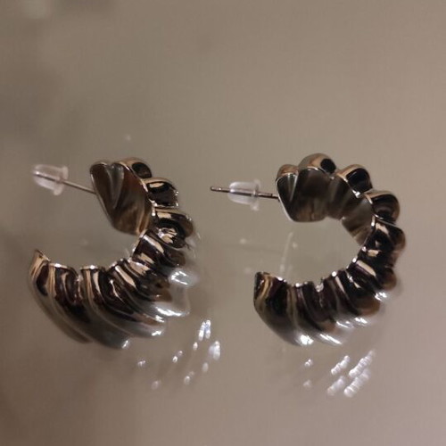 Impressive silver earrings new, iron and titanium steel