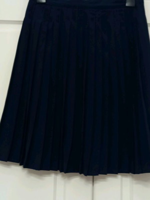 Pleated skirt like new, blue and black
