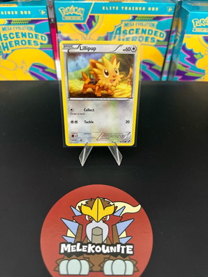 Lillipup Pokemon card used, Black & White 2011