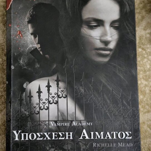 Blood Promise book like new