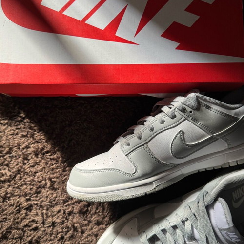 Nike Dunk Low Retro men's shoes size 45 white light smoke grey