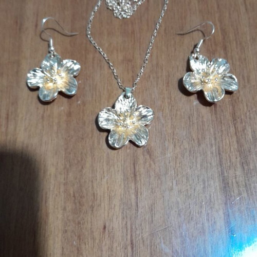 Jewelry set necklace earrings new gold-colored