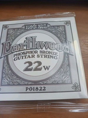 Ernie Ball Earthwood Guitar String 22w new