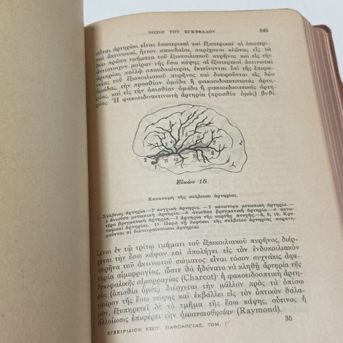 Manual of Internal Pathology used, Volume 3, 1911 edition