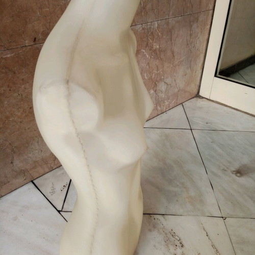 Female bust translucent to light
