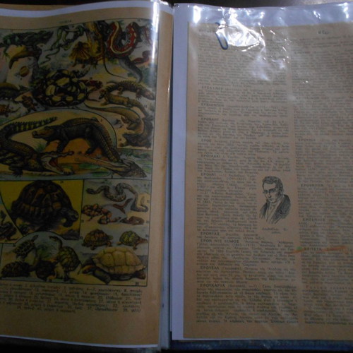 Forestry archive used with 40 lithograph clippings and articles from 1950s