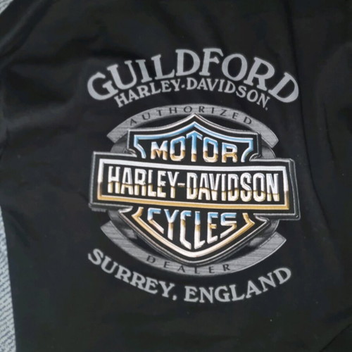 Harley Davidson Vintage Skull and Logo Hoodie Surrey England Chapter Large new