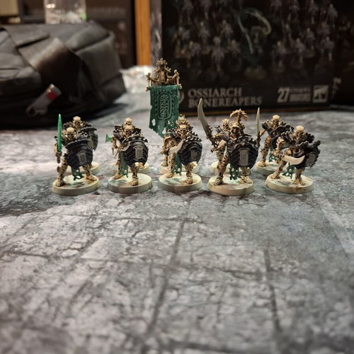 Ossiarch Bonereapers Army used, complete set