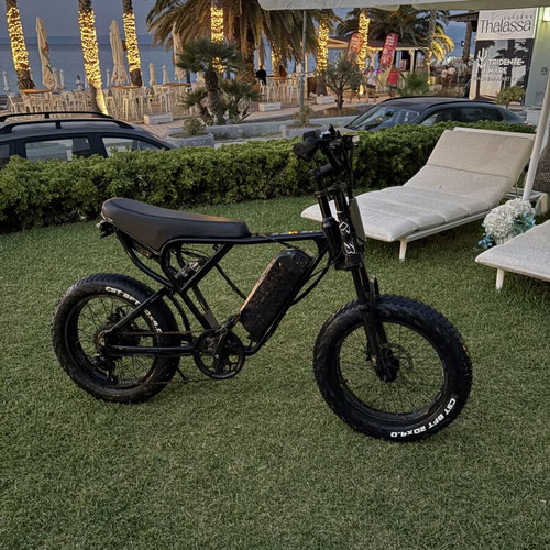 Ridstar Q20 electric bike with carbon wrap battery