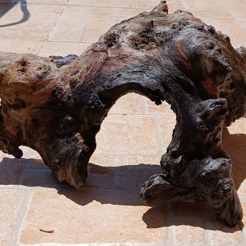 Aquarium wood decorative, used