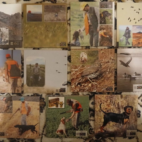 Hunting and Cynophilia DVD set like new, 11 discs