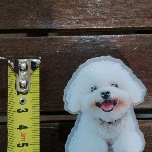 Decorative clip with Bichon Frisé dog new