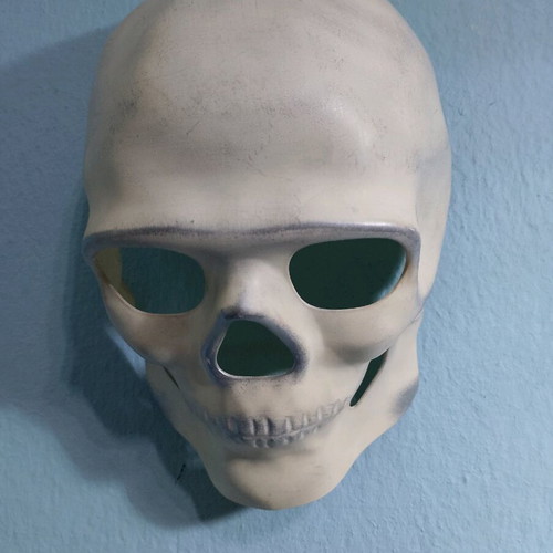 Skull used, thick plastic