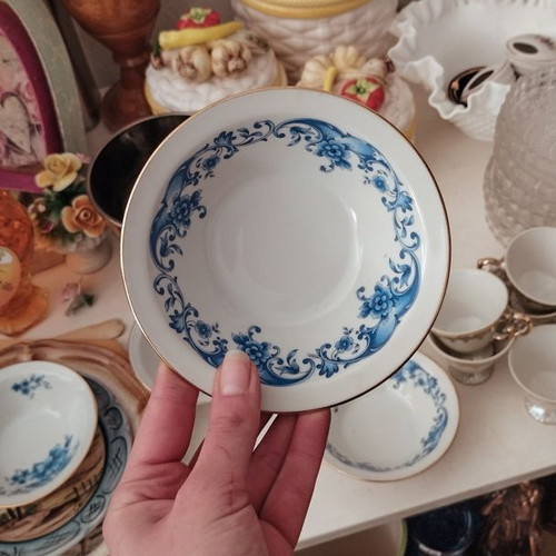 Colditz Porzellan GDR Hand Painted set of 5 bowls like new