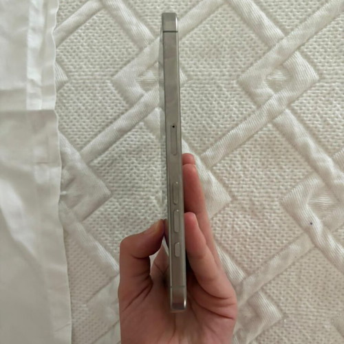 iPhone 16 Pro Max 256 GB silver with charger and case
