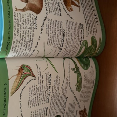 Metamfiesmena Zoa children's book
