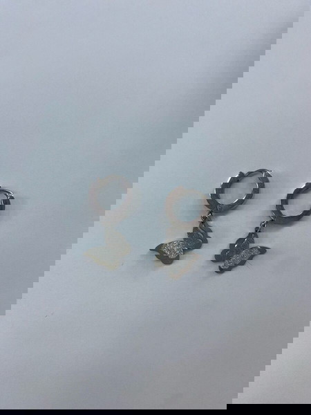 stainless earrings