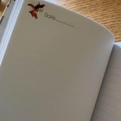 Magic Birds notebook new with hard cover