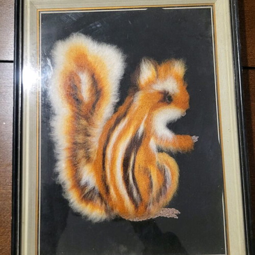 Frame used with squirrel theme