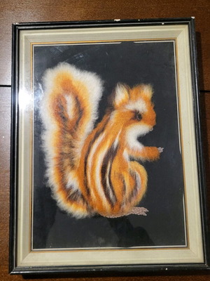 Frame used with squirrel theme