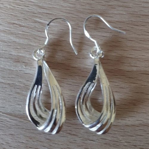 Elegance silver earrings