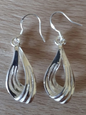 Elegance silver earrings