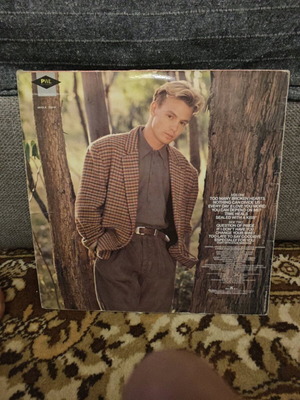 Vinyl record used in vg condition