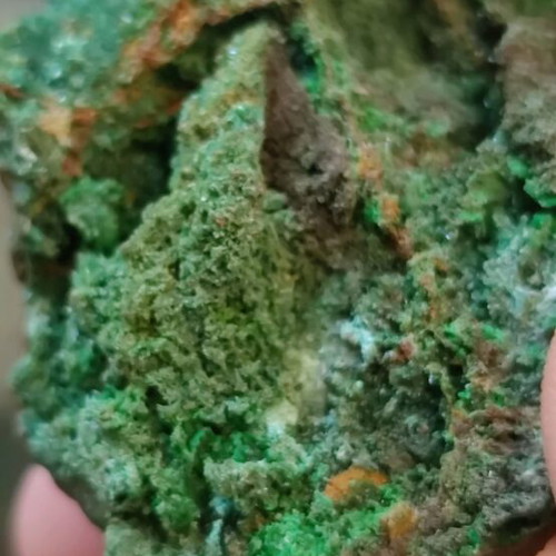 Conichalcite new calcium and copper mineral