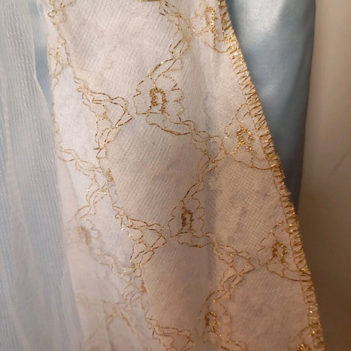 Victorian style carnival costume size 12 like new