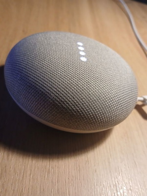 Google Home Mini assistant