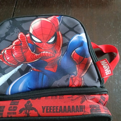 Insulated lunch bag like new