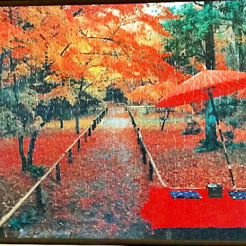 Set of 12 large beautiful puzzles with quality wooden/golden frames and glass