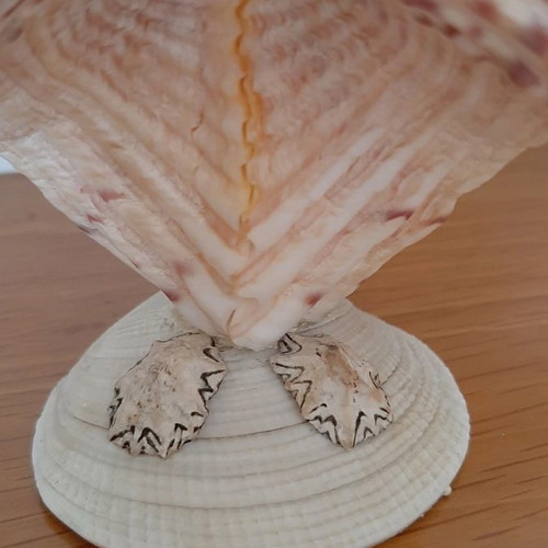 Decorative owl figurine made of large shells used
